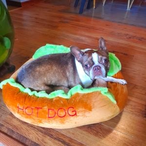 Meet your Posher, Drew & my assistant buyer"Pickle